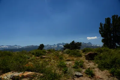 DSC_0252 (Large).JPG